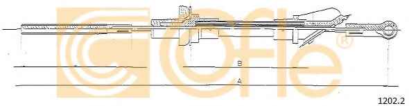 COFLE 12022