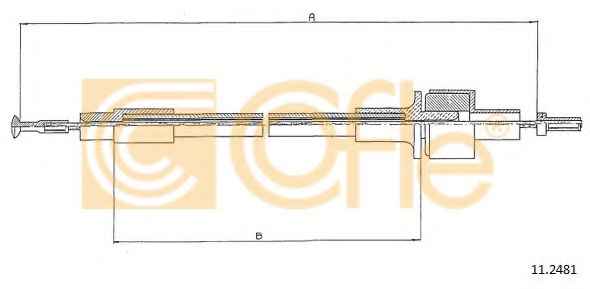 COFLE 112481