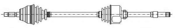 METELLI 17-0059