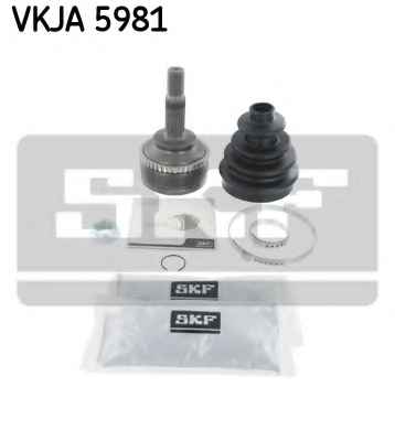 SKF VKJA 5981