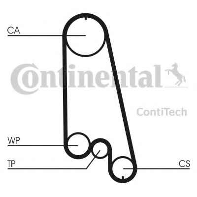 CONTITECH CT874WP5