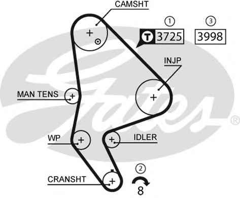 GATES 5588XS