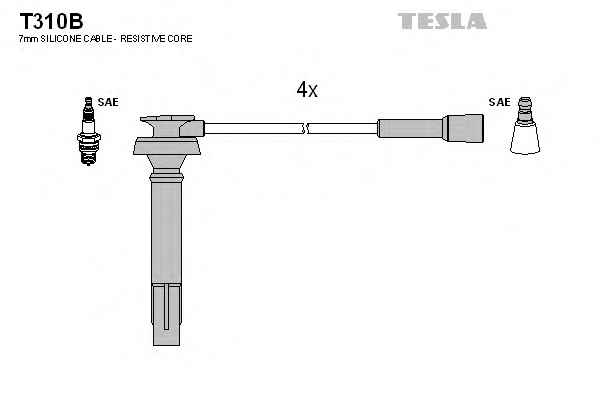 TESLA T310B